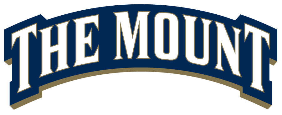 Mount St. Marys Mountaineers 2016-Pres Wordmark Logo v2 t shirts iron on transfers
